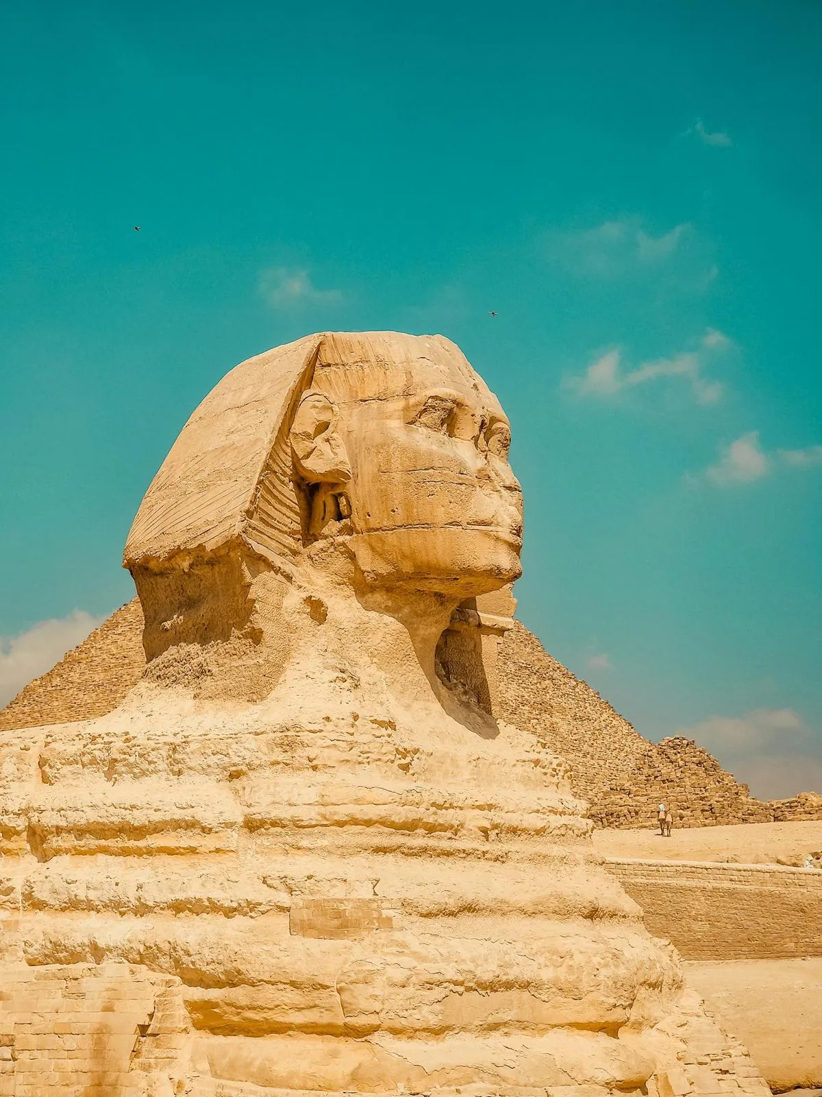 WhatsApp Image 2026-04-11 at 11.05.12 (6).webp